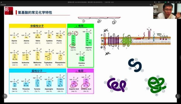 2025高三生物张鹏一轮暑假班 视频截图